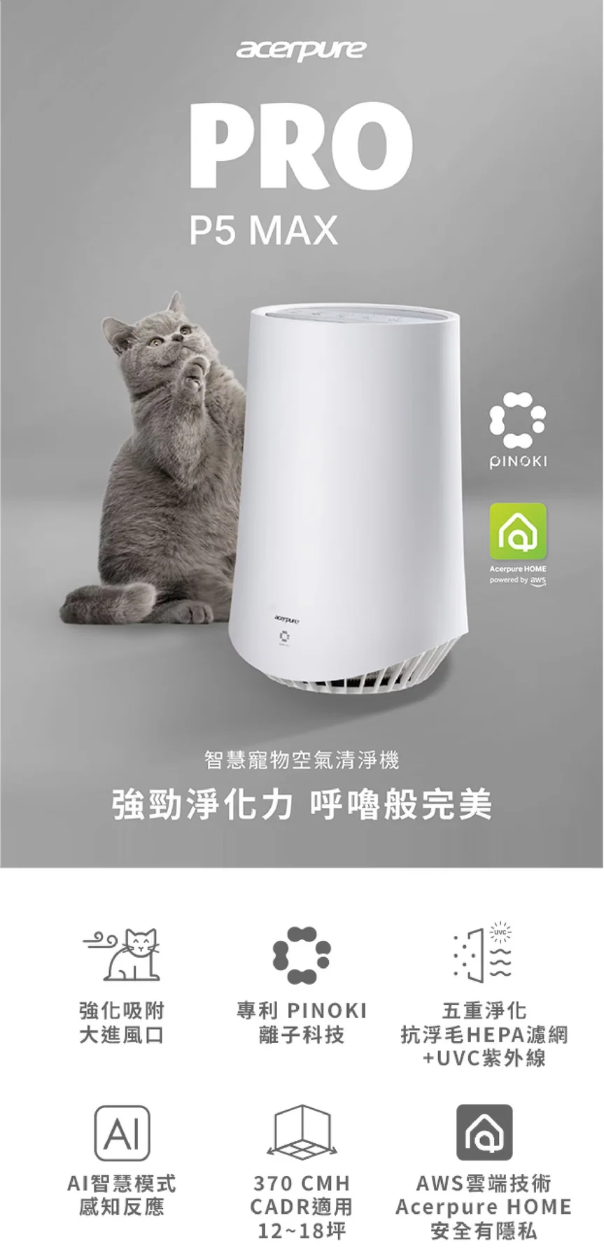 acerpure P5 MINI、P5、P5 MAX 怎麼選？3 款 CADR、坪數、濾網與持有成本比較